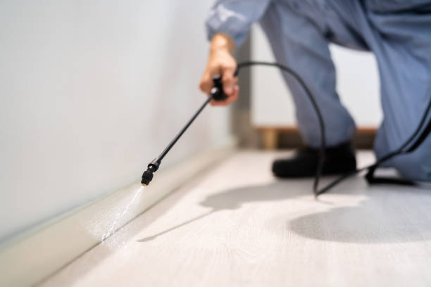 Licensed Pest Control service in Tontitown, AR - Show Me Pest Control
